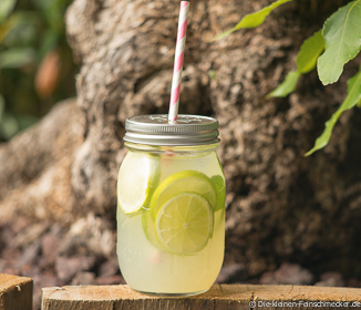 Zitronen Limetten Limonade Selber Machen Die Kleinen Feinschmecker