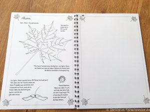 Blättersammelbuch- So sehen die Seiten aus